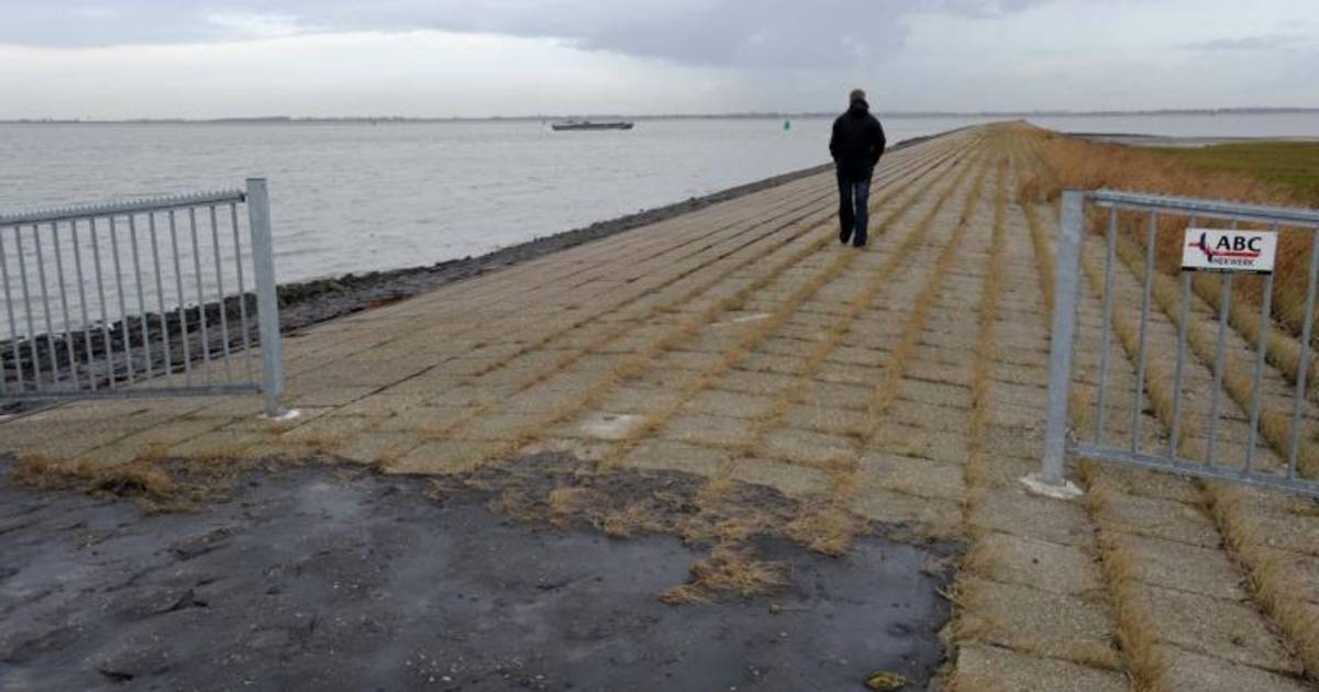 'Vredesplan' van waterschap voor hekken Zeedorp