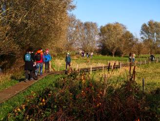 Heerlijk genieten van streekproducten of sportieve uitdaging: onze weekendtips in Brugge en aan de kust