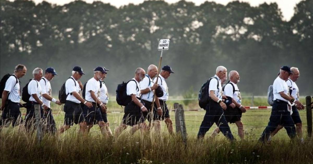 Trainingsschema voor Vierdaagse op Nijmegen gelderlander.nl