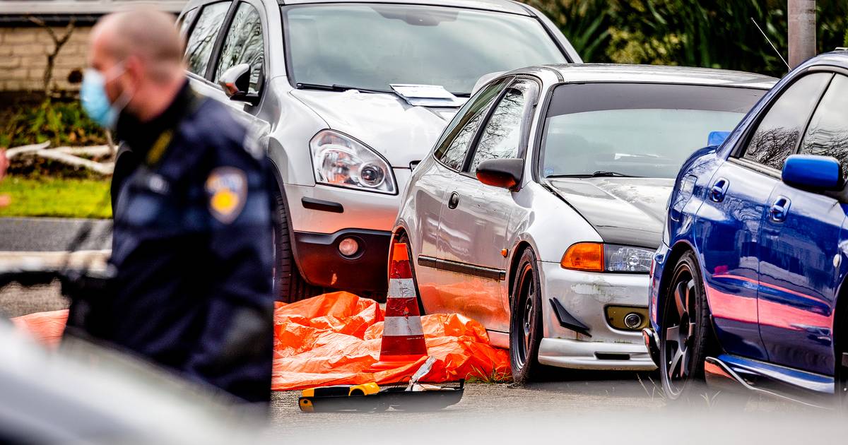 Vrouw (30) doodgestoken in Abbenbroek, vermoedelijke dader (33) probeert zich te beroven van het lev