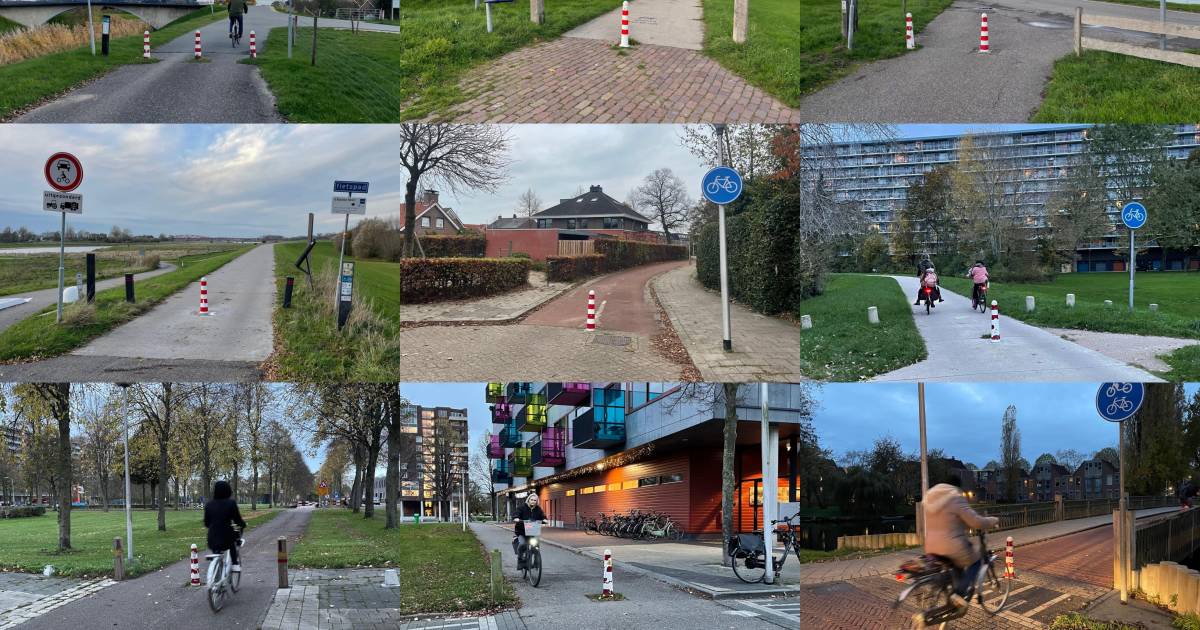 Zwolle gaat tientallen hinderlijke en gevaarlijke fietspaaltjes weghalen in strijd tegen eenzijdige ongevallen.