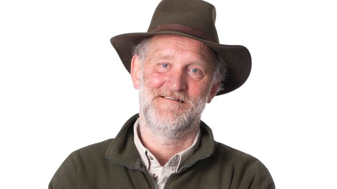 Is de wolf na anderhalve maand in de regio nog een zwerver?
