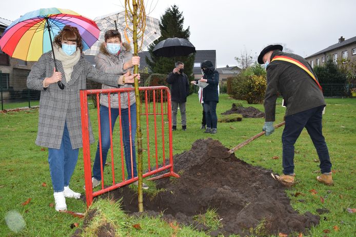 Burgemeester Rudy Van Cronenburg plantte een boom aan voor alle inwoners van Wachtebeke.