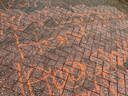 Op de Iroko en de Chico Mendesring worden al weken teksten op straat gekalkt.