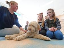Deze school heeft een hond: 'Zo’n hond oordeelt niet en heeft iets ontwapenends'