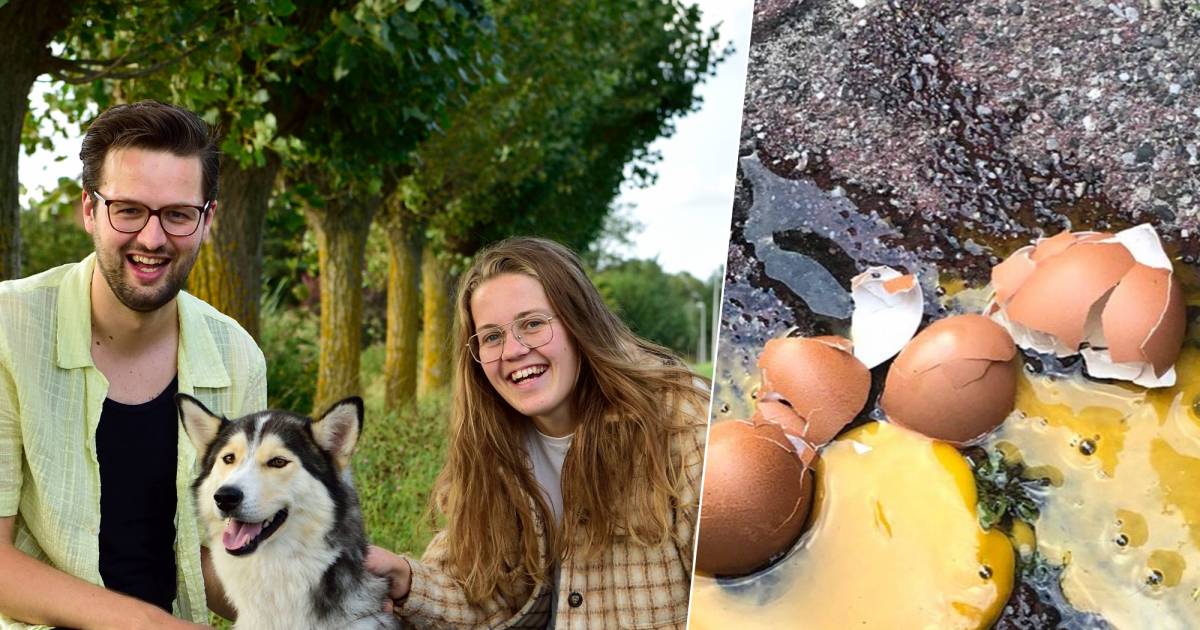 Wandelaars bekogeld met eieren en bak yoghurt vanuit rijdende auto: ‘Zat van top tot teen onder’ | B