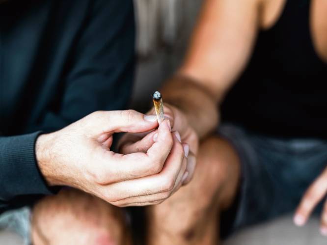 1 op de 6 jongeren raakt verslaafd aan cannabis: “Schade aan hersenen onherstelbaar”