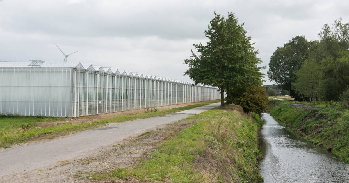 Noodoverloop in Watergang Hoge Landen: “Polders sneller inschakelen bij hoge waterstanden”