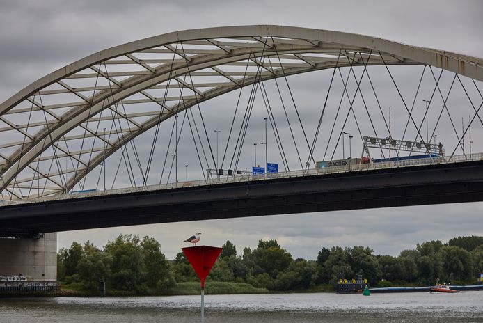De drukke Van Brienenoordbrug moet door de nieuwe stadsbrug ontlast worden, vindt de VVD in de Tweede Kamer.