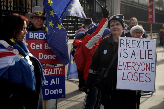 Tegenstanders van de brexit voor het Britse parlementsgebouw in Londen.
