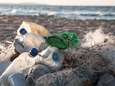 Steeds meer Belgische vissers brengen afval uit zee terug aan land om te recycleren