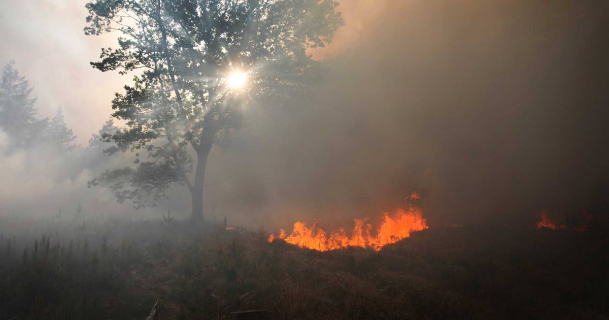 Boot in Wierum gaat in vlammen op, mogelijk sprake van brandstichting.