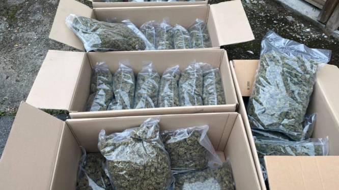 Nederlandse drugskoerier met ruim 3 kilogram cannabis en 12.900 euro cash gevat