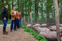 Koning Willem-Alexander bracht in 2019 een bezoek aan de eerste Herenboeren van Nederland in het Wilhelminapark in Boxtel.