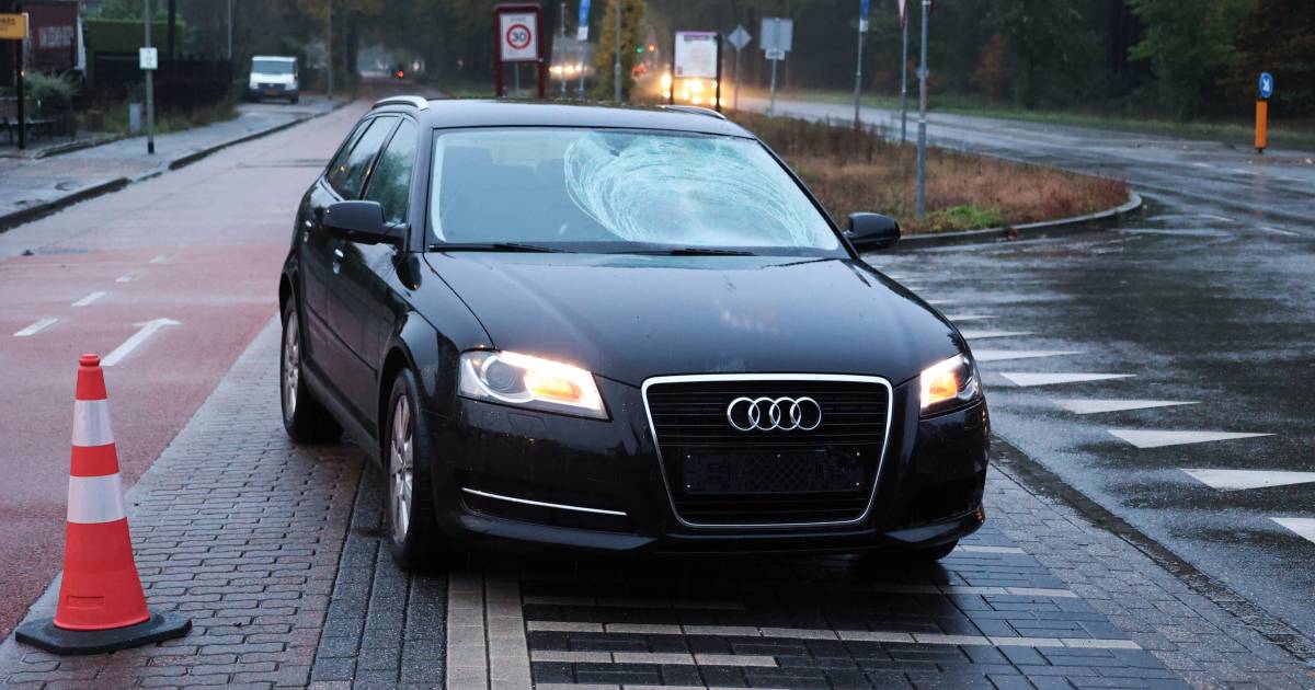 Fietser komt op voorruit van auto terecht bij aanrijding in Oss.
