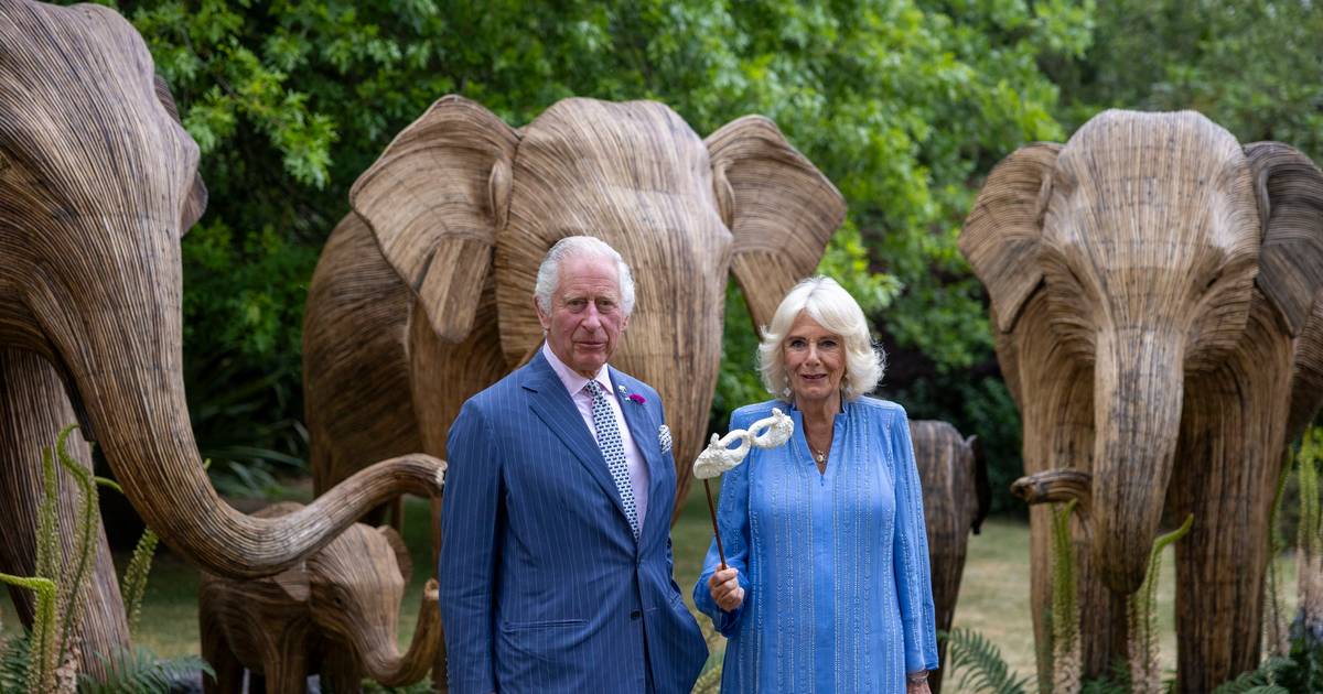 Buckingham Palace annual report not positive: diversity goals and excursions still too expensive |  Property