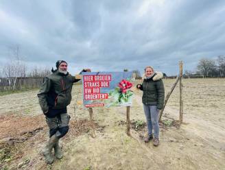 In april start de oogst in de eerste Aalsterse CSA-boerderij: “Zelfoogstmoestuin levert groenten en fruit voor meer dan 100 gezinnen”