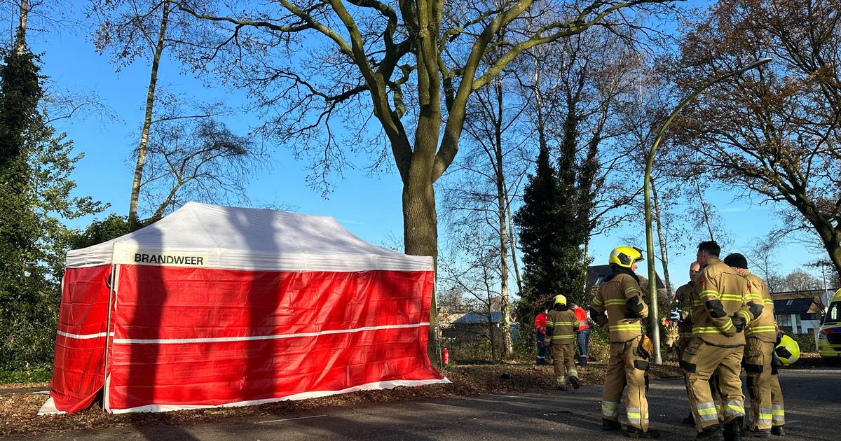 Automobilist overleden na botsing tegen boom bij Nieuwkuijk