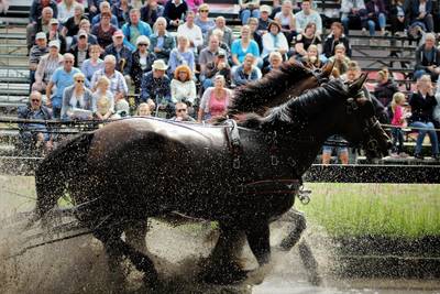 Dagje uit met ridders en paarden bij 25ste Aangespannen Dag Gilze