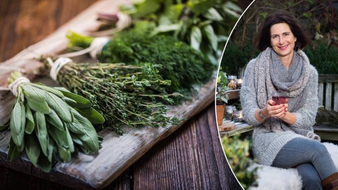 Venkel tegen heesheid, rozemarijn voor een oppepper: onze tuinexperte wijst de beste kruiden om winterkwaaltjes te verlichten