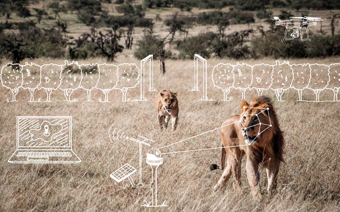 De scholieren ontwierpen 'camera traps'.