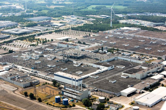 "Ford is een spookfabriek" | Genk | hln.be