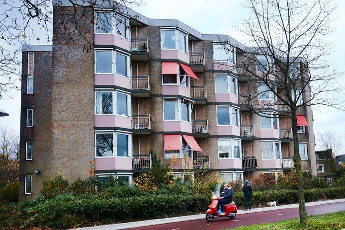 De woningen aan de Eykmanlaan.
