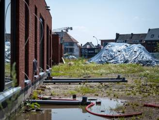 In Willebroek moeten tuinen en opritten worden afgegraven: PFOS-waarden tien keer hoger dan in woongebied Zwijndrecht