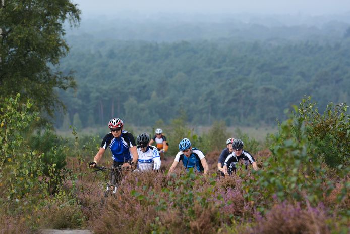 De Hellendoornse politiek vindt dat de mountainbikeroutes op de Sallandse Heuvelrug open moeten blijven.
