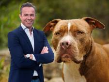 Dennis verafschuwt baasjes van agressieve honden: ‘Hun hond doet anders nooit wat, toch?’