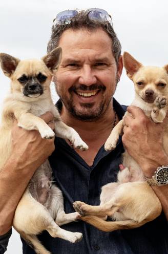 De gezonde gewoontes van Axel Daeseleire: “Ik zet elke dag dertienduizend stappen en heb twee hometrainers”   