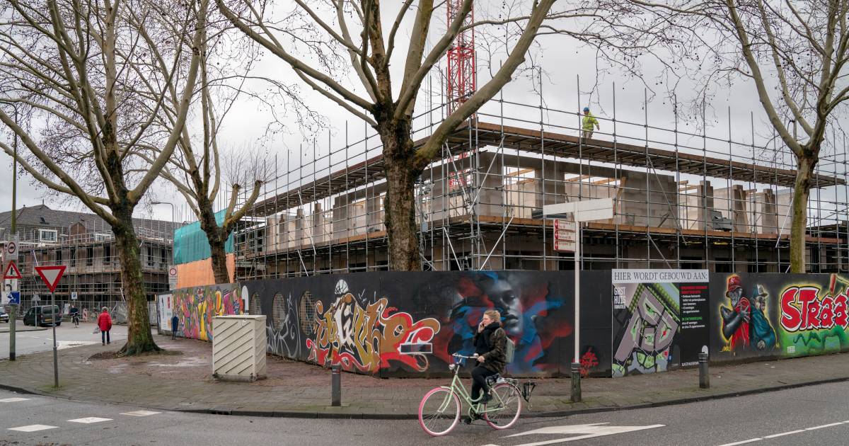 Marc op den winkel dissertation 05 picture