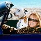 Ontdek de Thelma & Louise in jezelf