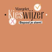Op welke partij moet je stemmen? Doe hier onze kieswijzer