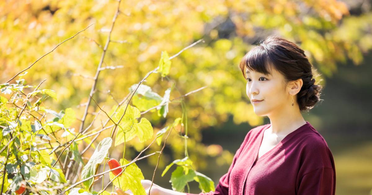 Una principessa giapponese domani sposerà un ragazzo civile: sembra magico, ma ai giapponesi non piace |  All’estero