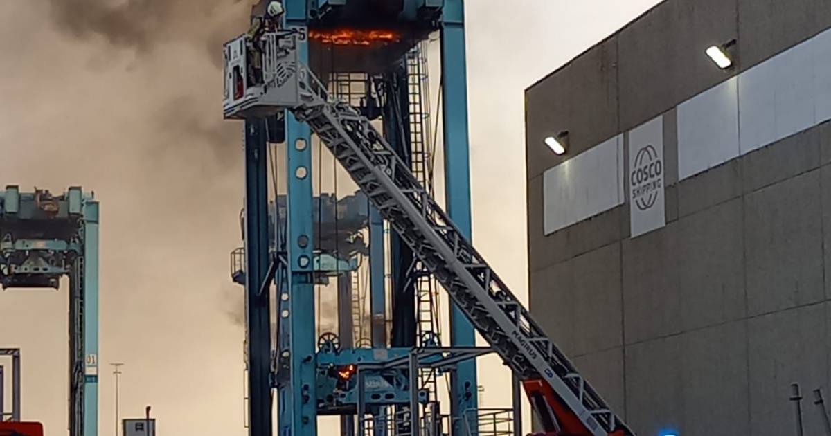 Containerlift in haven van Zeebrugge schiet in brand Brugge hln.be