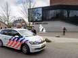 Nederlandse verdachte biedt gestolen Van Gogh aan in ruil voor strafvermindering