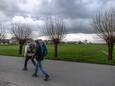 Het weiland dat in beeld is voor woningbouw, gezien vanaf de Dorpsstraat. Links De Vrijhofweg.