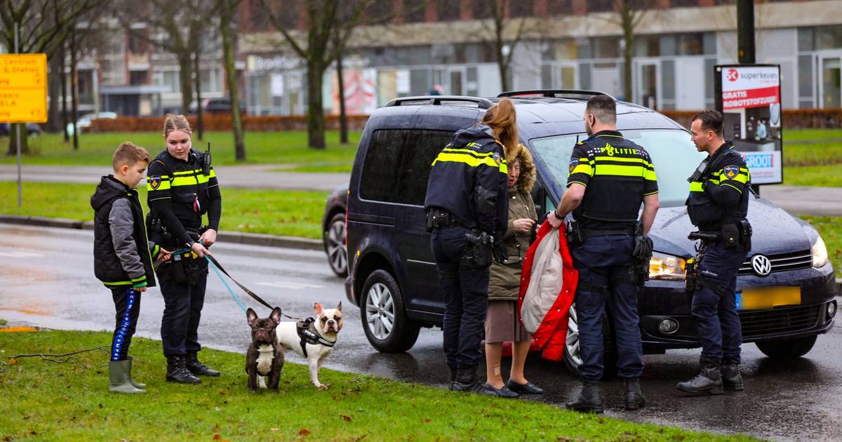 Meisje aangereden tijdens het uitlaten van twee hondjes in Apeldoorn en gewond naar het ziekenhuis gebracht.