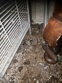 De vloer van de hele woning lag bezaaid met uitwerpselen en was doordrenkt met urine, constateerde de inspectie vorig jaar.