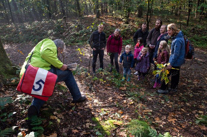 Natuurgidsen van IVN Mark en Donge verzorgen een natuurwandeling in de Dorstse bossen op zoek naar paddenstoelen.
