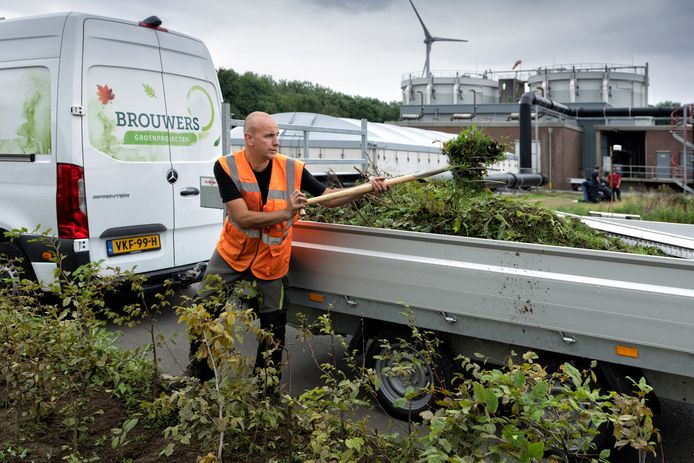 Hovenier Harold Russens aan het werk bij de waterzuivering in Den Bosch