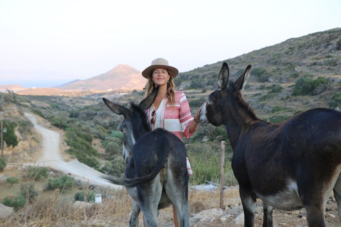 Kim van Dijk met haar ezels op Paros.