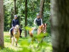 Rebecca geeft haar hele salaris uit aan paarden: ‘Ik wil niet eens weten hoeveel het kost’