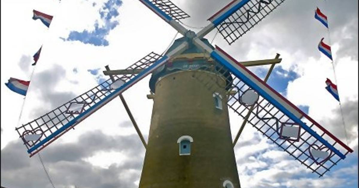 Molen De Hoop in Den Hout traditioneel versierd voor huwelijk