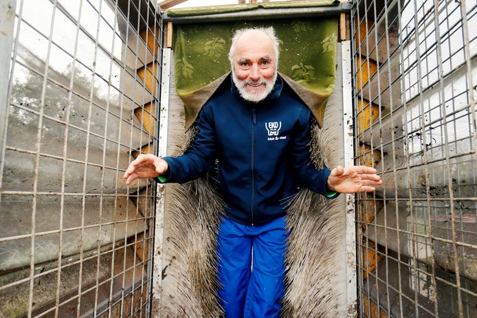 Boer Gertjan Kool (63) en zijn megavliegenval. De haren houden vliegen tegen en zorgen ervoor dat ze naar het gaas vliegen.