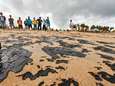 WWF: “Olievlek voor Brazilië is tragedie voor mariene ecosysteem” 