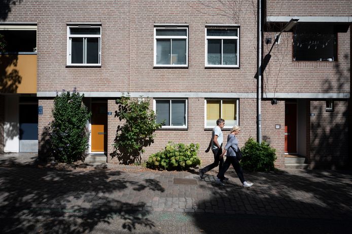 Struiken en 'geveltuintjes' in de Benedenstad in Nijmegen helpen om hittestress tegen te gaan. Als de zon erop staat, warmen stenen veel meer op dan planten en struiken.