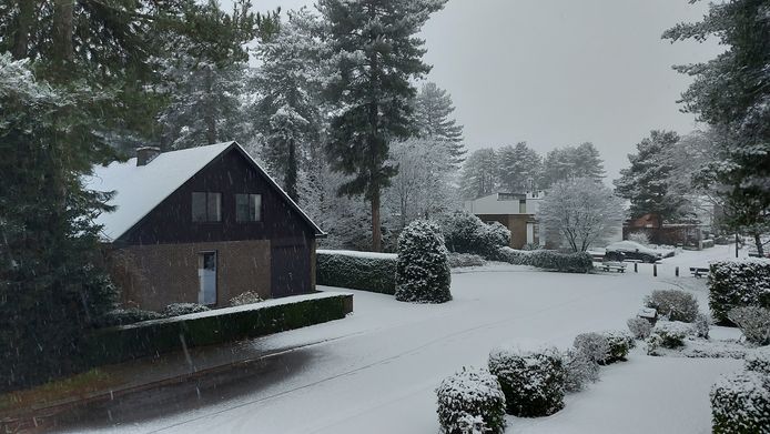 Sneeuw in Vosselaar.