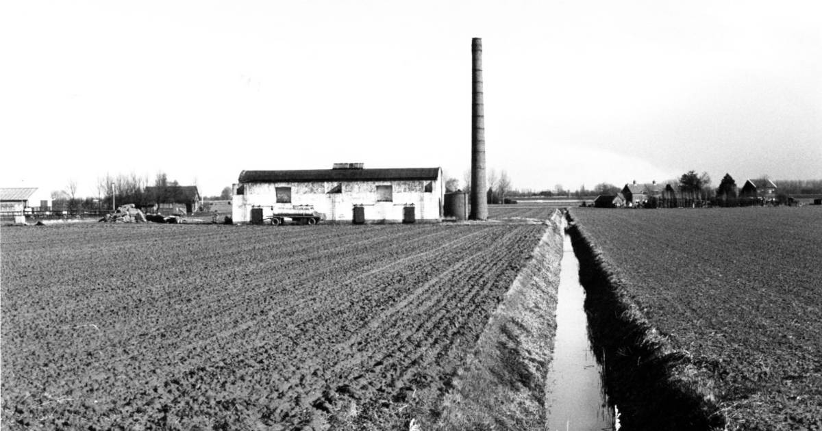 Plannen voor restauratie van vlasroterij in Strijen: mix van wonen, werken en historie | Hoeksche Wa